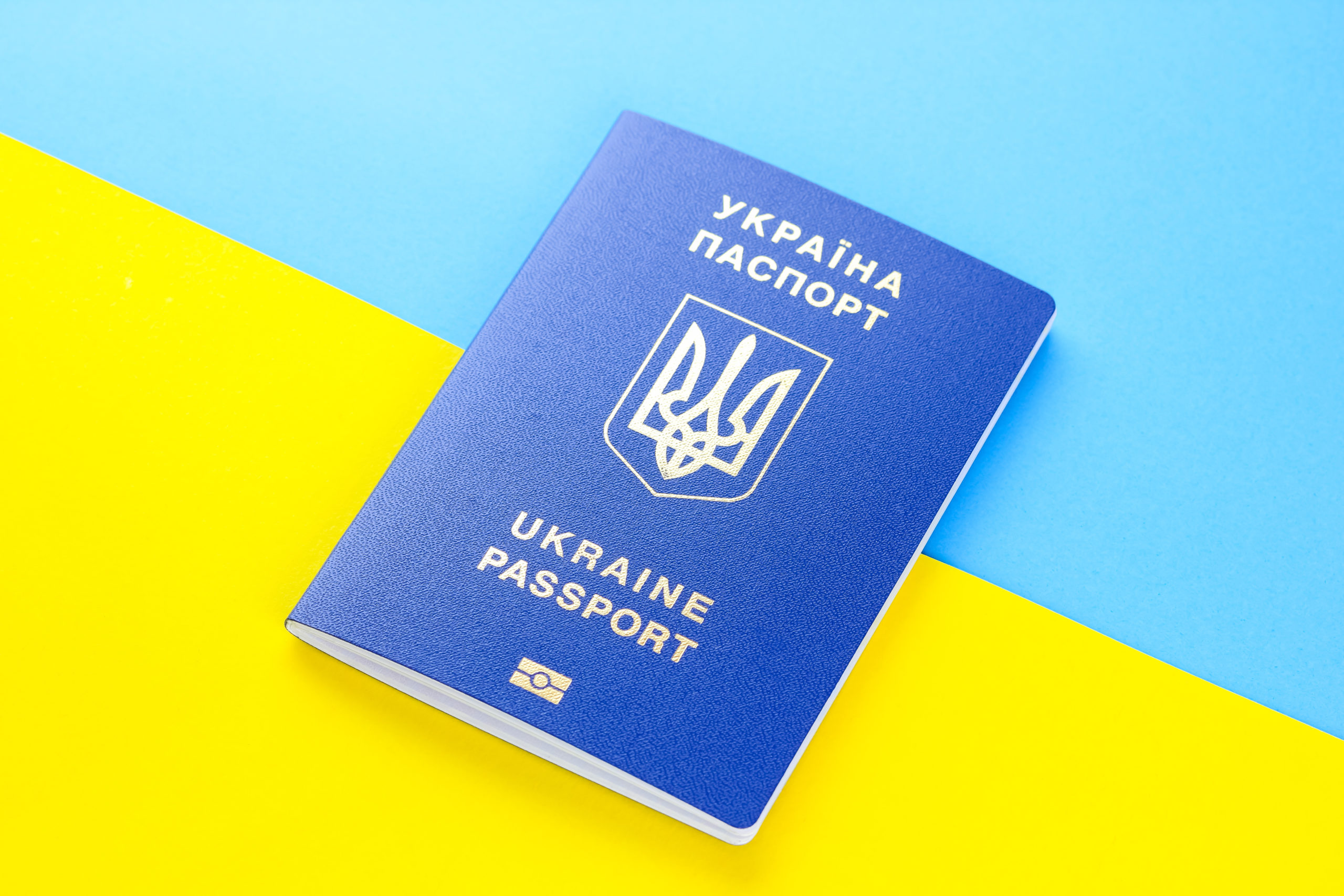 Украинский паспорт фон